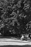 14082013_tmax400_008_