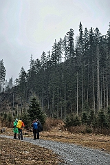 R20_8642_