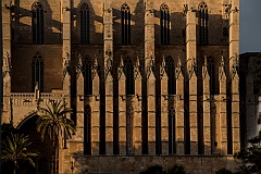 palma