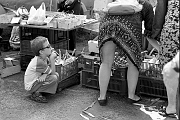 0072012_RR_100012_